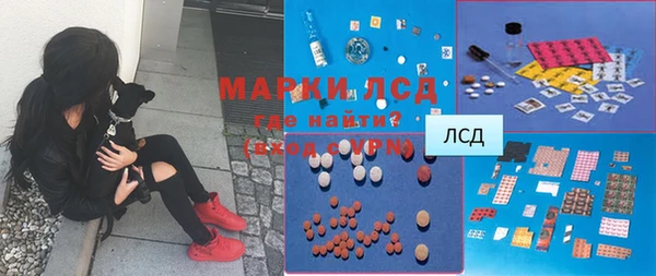 гидра Алексин