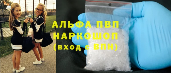 гидра Алексин