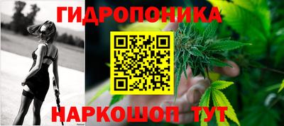 spice Анжеро-Судженск