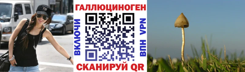 Галлюциногенные грибы мицелий  MEGA   Барнаул 