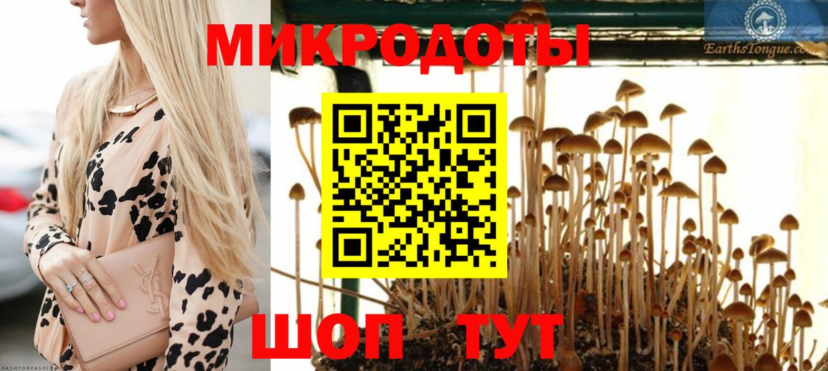Галлюциногенные грибы Cubensis Барнаул