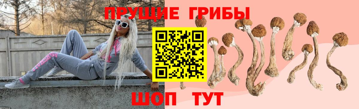 Галлюциногенные грибы мицелий  Вход с VPN  Барнаул 